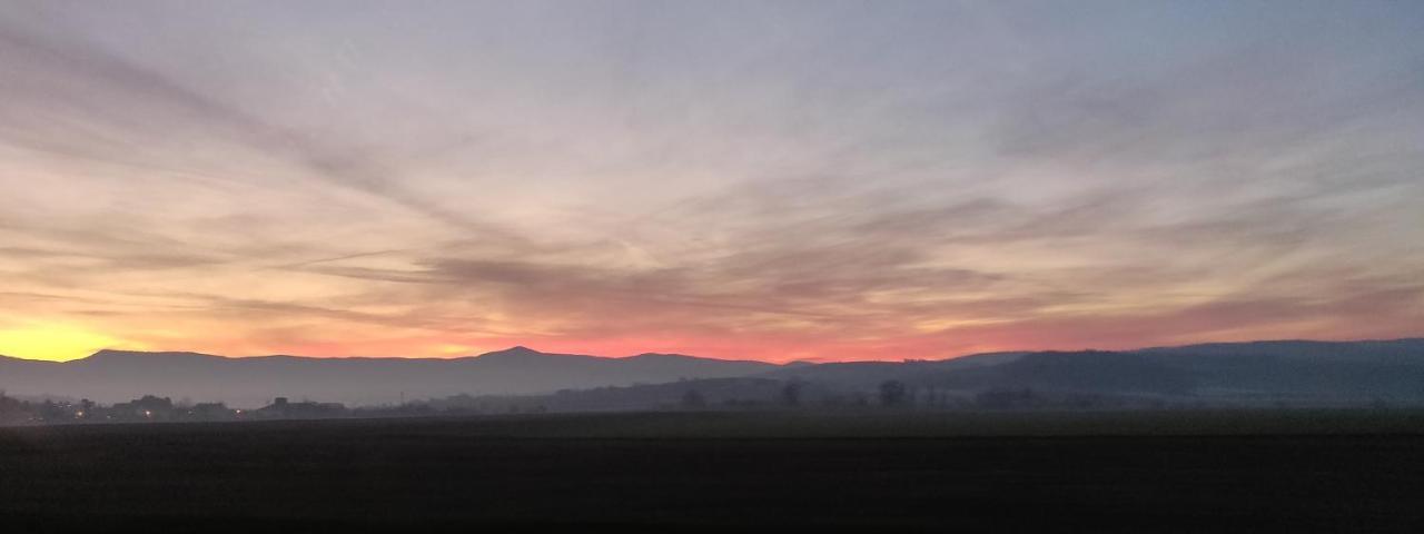 Tres Belle Vue Sur Le Mont Saint-Odile, Parking Gratuit Appartement Obernai Buitenkant foto